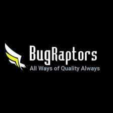 BugRaptors Logo