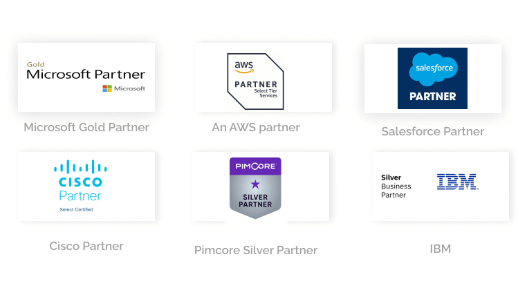 ScienceSoft Partnerships